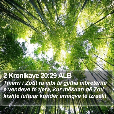 2 Kronikave 20:29 ALB Bible Verse Image