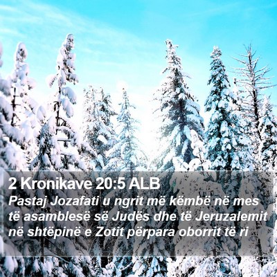 2 Kronikave 20:5 ALB Bible Verse Image