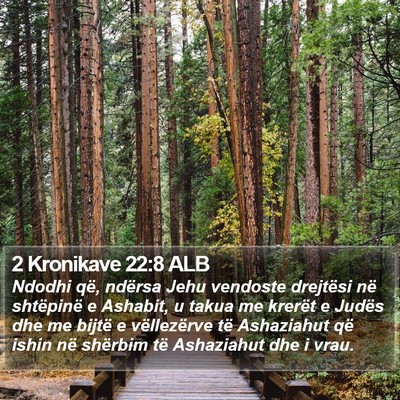 2 Kronikave 22:8 ALB Bible Verse Image