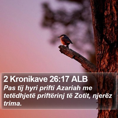 2 Kronikave 26:17 ALB Bible Verse Image