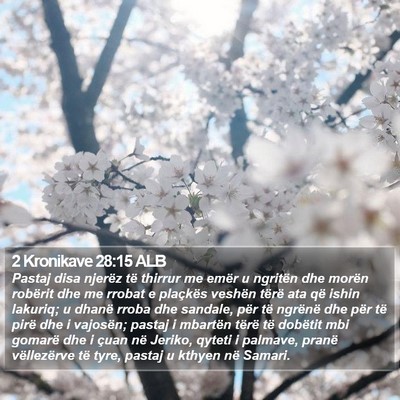 2 Kronikave 28:15 ALB Bible Verse Image
