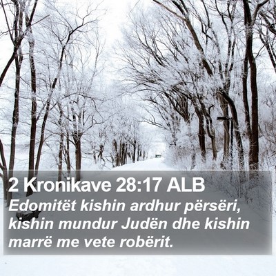 2 Kronikave 28:17 ALB Bible Verse Image