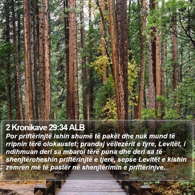 2 Kronikave 29:34 ALB Bible Verse Image