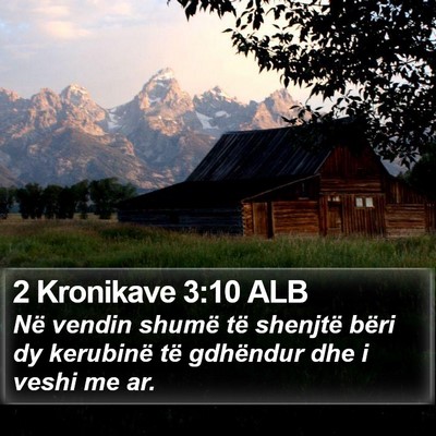 2 Kronikave 3:10 ALB Bible Verse Image