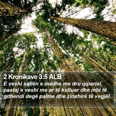 2 Kronikave 3:5 ALB Bible Verse Image