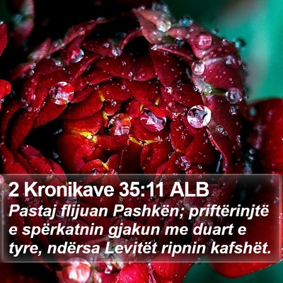 2 Kronikave 35:11 ALB Bible Verse Image