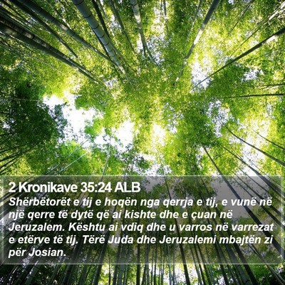 2 Kronikave 35:24 ALB Bible Verse Image