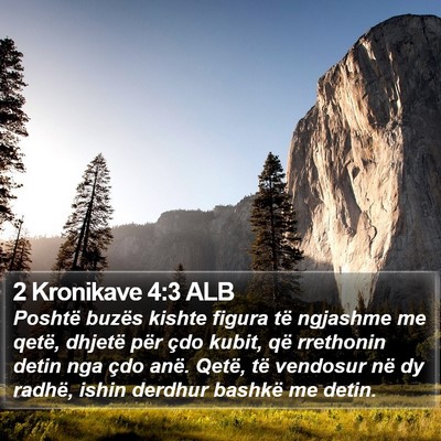 2 Kronikave 4:3 ALB Bible Verse Image