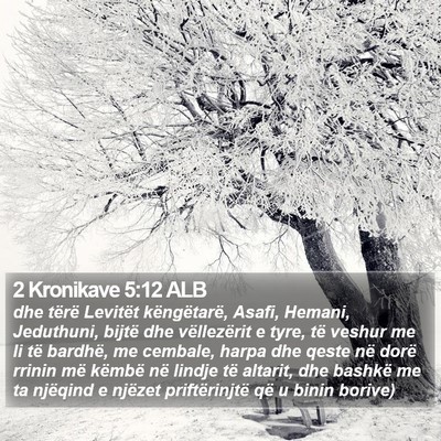 2 Kronikave 5:12 ALB Bible Verse Image