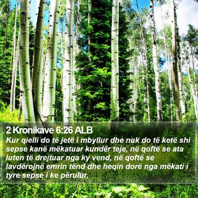 2 Kronikave 6:26 ALB Bible Verse Image