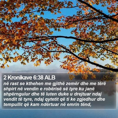 2 Kronikave 6:38 ALB Bible Verse Image