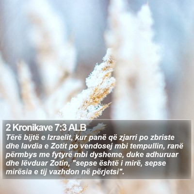 2 Kronikave 7:3 ALB Bible Verse Image