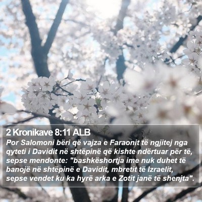 2 Kronikave 8:11 ALB Bible Verse Image