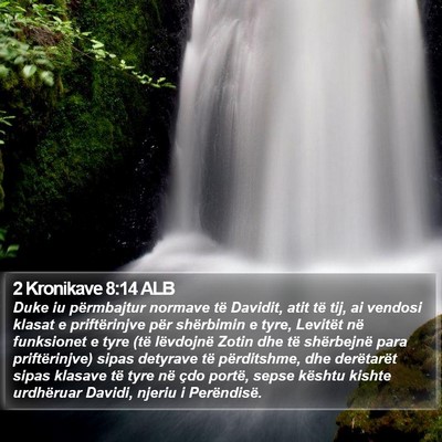 2 Kronikave 8:14 ALB Bible Verse Image