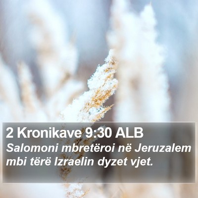 2 Kronikave 9:30 ALB Bible Verse Image