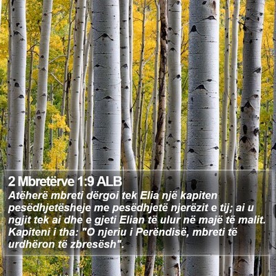 2 Mbretërve 1:9 ALB Bible Verse Image