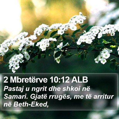 2 Mbretërve 10:12 ALB Bible Verse Image