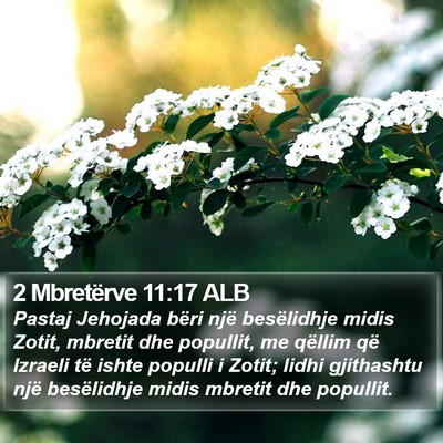 2 Mbretërve 11:17 ALB Bible Verse Image