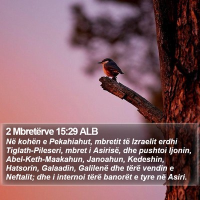 2 Mbretërve 15:29 ALB Bible Verse Image