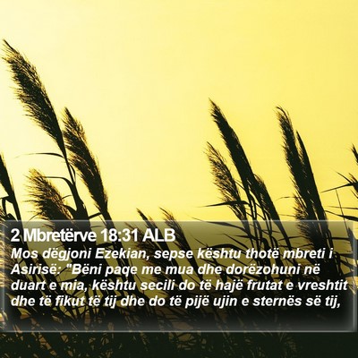 2 Mbretërve 18:31 ALB Bible Verse Image