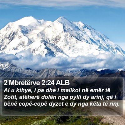 2 Mbretërve 2:24 ALB Bible Verse Image
