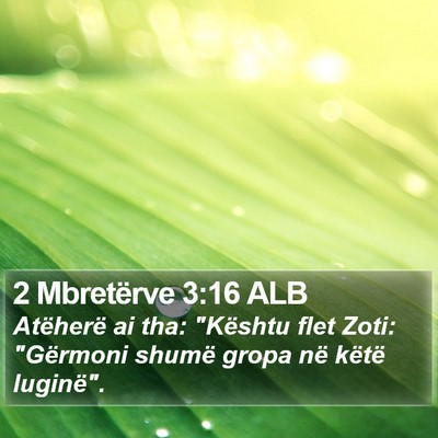 2 Mbretërve 3:16 ALB Bible Verse Image