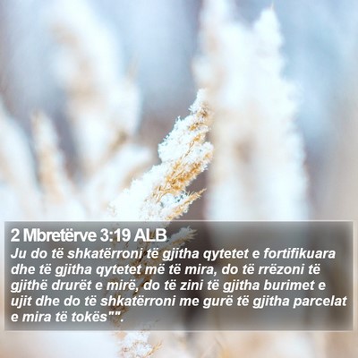 2 Mbretërve 3:19 ALB Bible Verse Image