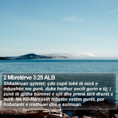 2 Mbretërve 3:25 ALB Bible Verse Image