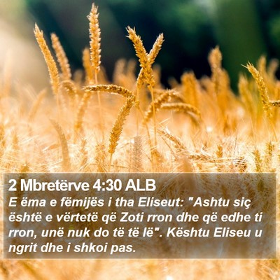2 Mbretërve 4:30 ALB Bible Verse Image