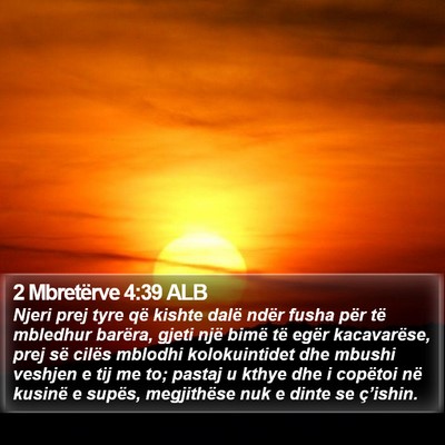 2 Mbretërve 4:39 ALB Bible Verse Image