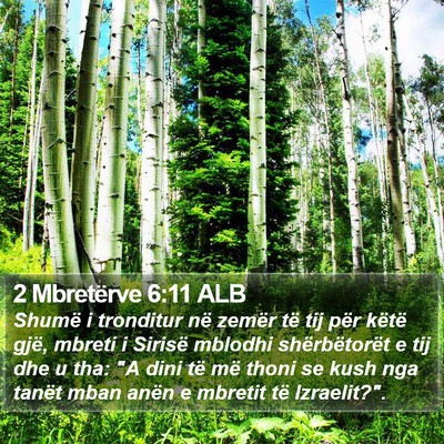 2 Mbretërve 6:11 ALB Bible Verse Image