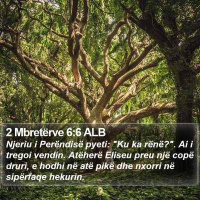 2 Mbretërve 6:6 ALB Bible Verse Image