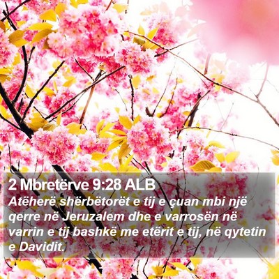2 Mbretërve 9:28 ALB Bible Verse Image