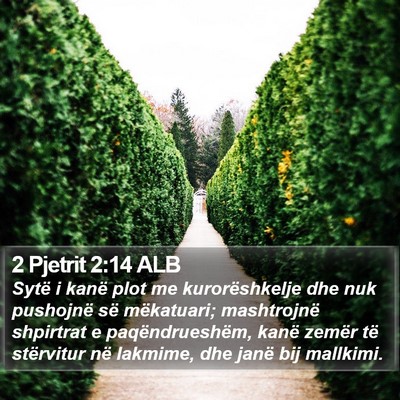 2 Pjetrit 2:14 ALB Bible Verse Image
