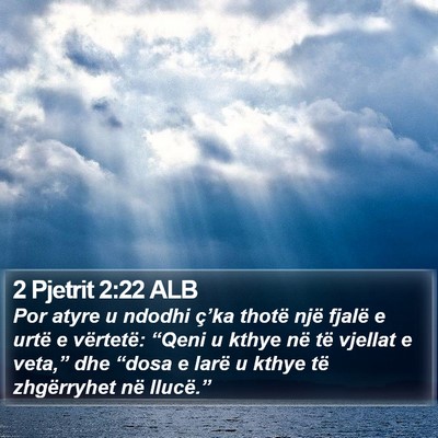2 Pjetrit 2:22 ALB Bible Verse Image