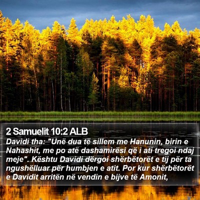 2 Samuelit 10:2 ALB Bible Verse Image