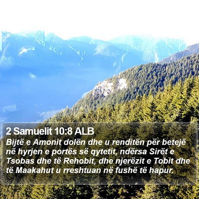 2 Samuelit 10:8 ALB Bible Verse Image