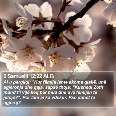 2 Samuelit 12:22 ALB Bible Verse Image