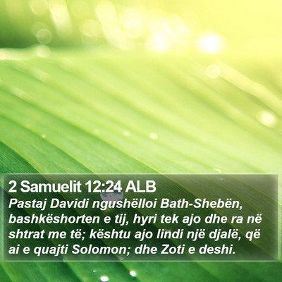 2 Samuelit 12:24 ALB Bible Verse Image