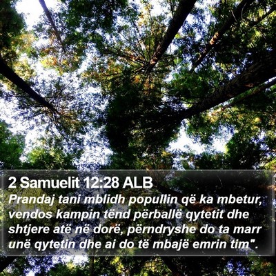 2 Samuelit 12:28 ALB Bible Verse Image