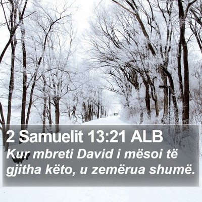 2 Samuelit 13:21 ALB Bible Verse Image