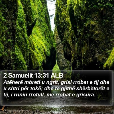 2 Samuelit 13:31 ALB Bible Verse Image