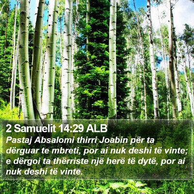 2 Samuelit 14:29 ALB Bible Verse Image