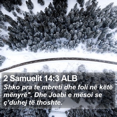 2 Samuelit 14:3 ALB Bible Verse Image