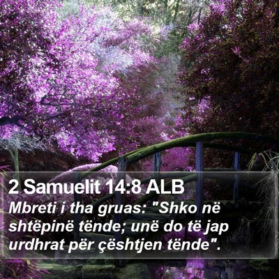 2 Samuelit 14:8 ALB Bible Verse Image