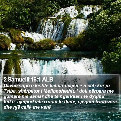 2 Samuelit 16:1 ALB Bible Verse Image