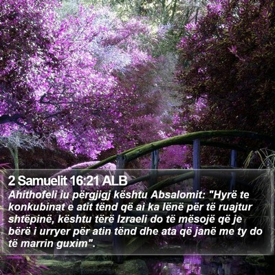 2 Samuelit 16:21 ALB Bible Verse Image