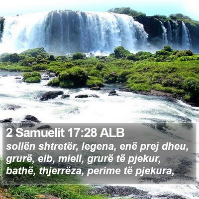 2 Samuelit 17:28 ALB Bible Verse Image