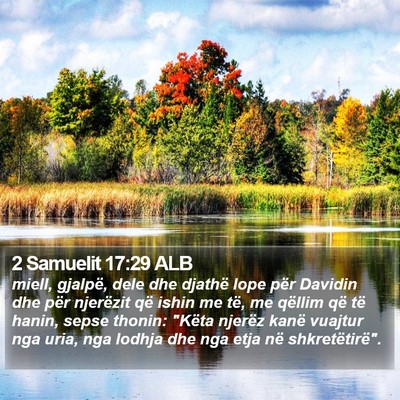 2 Samuelit 17:29 ALB Bible Verse Image