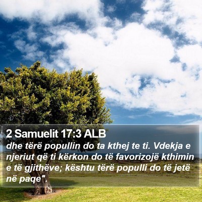 2 Samuelit 17:3 ALB Bible Verse Image